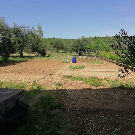 Apartmani Sladic สกราดิน ภายนอก รูปภาพ